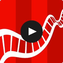 AX Video Player आइकन