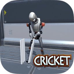 Robot Cricket Galaxy Cup 3D أيقونة
