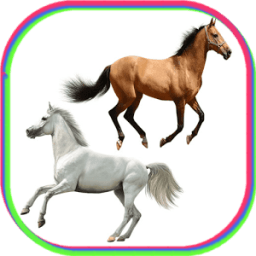 Horse Power Photo Frames icon