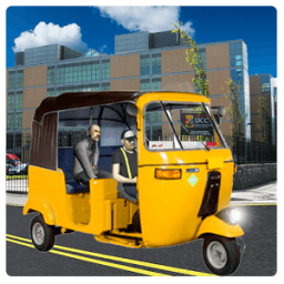 ikon City Auto Rickshaw Driver