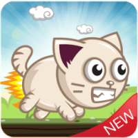 Tomcat adventure