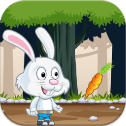 Jungle bunny Adventure иконка