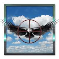 Forest păsări de vânătoare