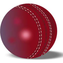 Cricket Livescore Widget