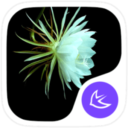 Flowers theme for APUS أيقونة