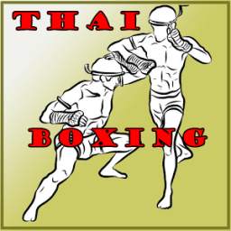 MUAY THAI BASICS