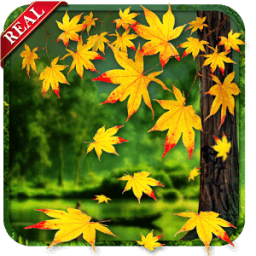 Real Autumn Live Wallpaper иконка