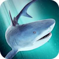 Sharks Battle - Survival Fight