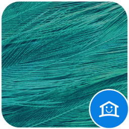 Colorful feather gray theme आइकन