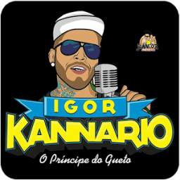 IGOR KANNÁRIO 1.2