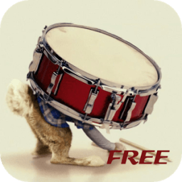 Недвижимость барабан Учебники иконка