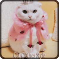 Cat Pakaian Style