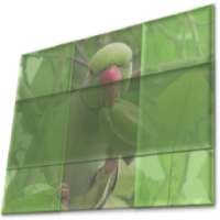 Sliding Photo Puzzle