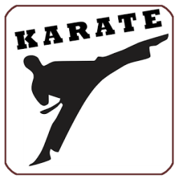 Karate Fight Training Lessons أيقونة