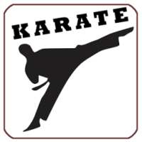 Karate Fight Training Lessons on 9Apps