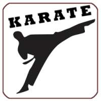 Karate Fight Training Lessons