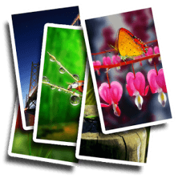 Auto Change Live Wallpaper أيقونة