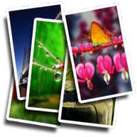 Auto Change Live Wallpaper