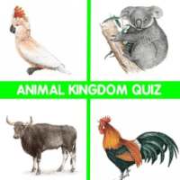 Animal Kingdom Quiz