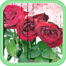 Vase of Flowers icon