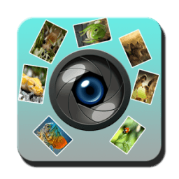 Secret Videos Camera Recorder icon