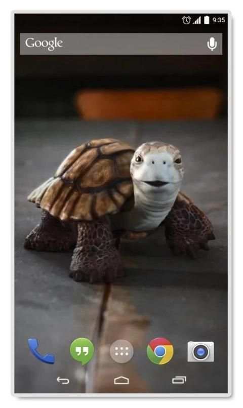 Talking Turtle Live Wallpaper 3 تصوير الشاشة