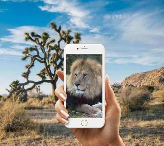 mega camera zoom in+ 1 تصوير الشاشة
