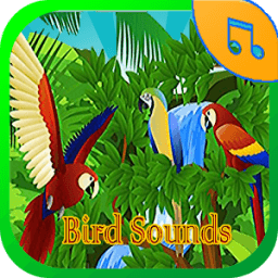 Bird Sounds Ringtone иконка