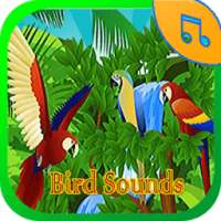 Bird Sounds Ringtone