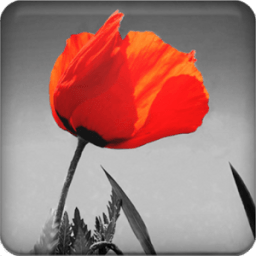 Magic Canvas आइकन