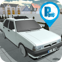 Real Car Parking Simulator أيقونة