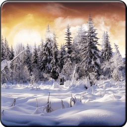 خلفيات شتاء 2016 أيقونة