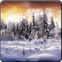 خلفيات شتاء 2016 on 9Apps