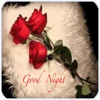 Good Night SMS &amp; Images أيقونة