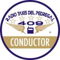 Radio Taxis Pedregal Conductor on 9Apps
