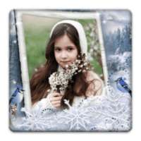 Snowfall Photo Frames on 9Apps