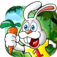 Bunny Dash : Jungle Run