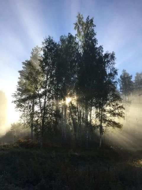 Sweden Wallpaper Travel 1 تصوير الشاشة