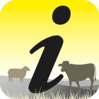 Stockman on 9Apps