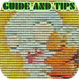 Guide For Plant Vs Zombies 2 Pro 1.1