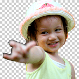 ikon Photo Background Changer