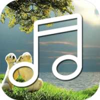 Sea+Ocean Sounds-Relax & Sleep on 9Apps