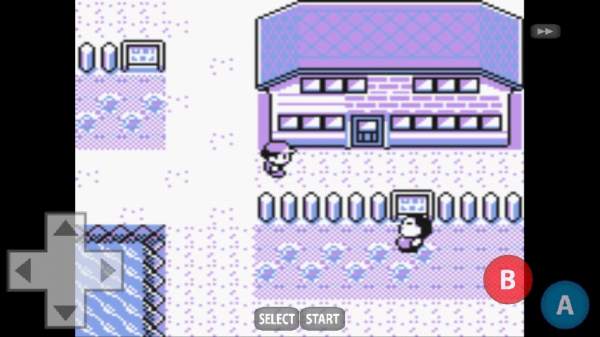 Pokemon Yellow screenshot 2