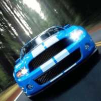 Street Traffic Driver