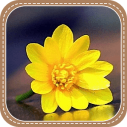 ikon The Yellow Flowers