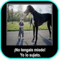 Imágenes Graciosas para Whatsapp Gratis