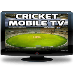PSL Cricket Tv أيقونة