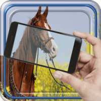 Cunning Touch Joke on 9Apps