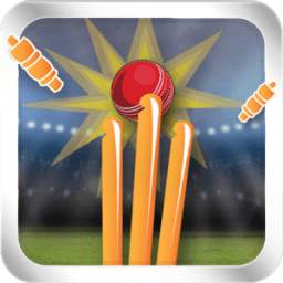 Hitwicket Cricket Manager 2016
