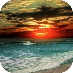 Nature Wallpaper 1.0.6